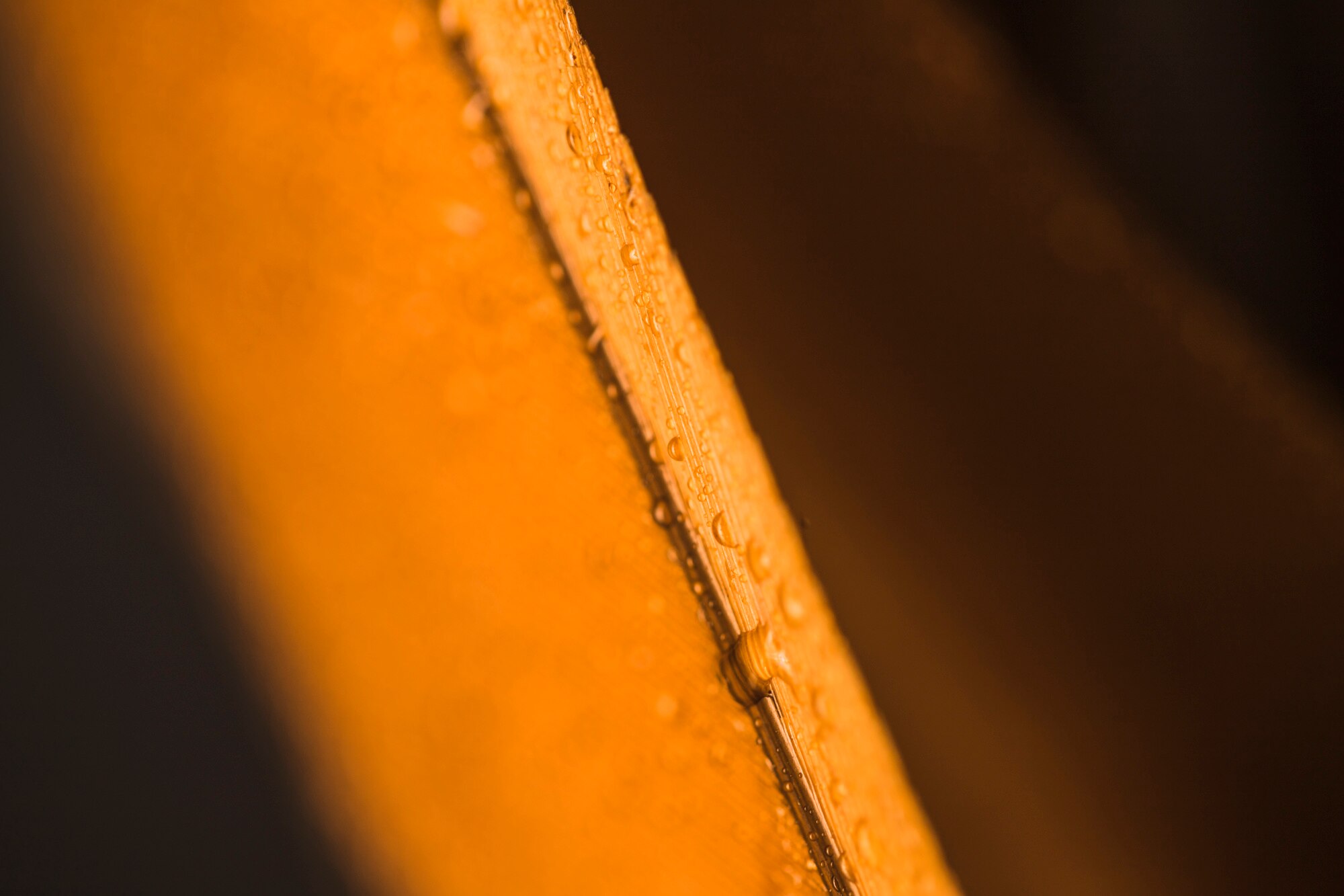 Dettaglio texture carta e luce